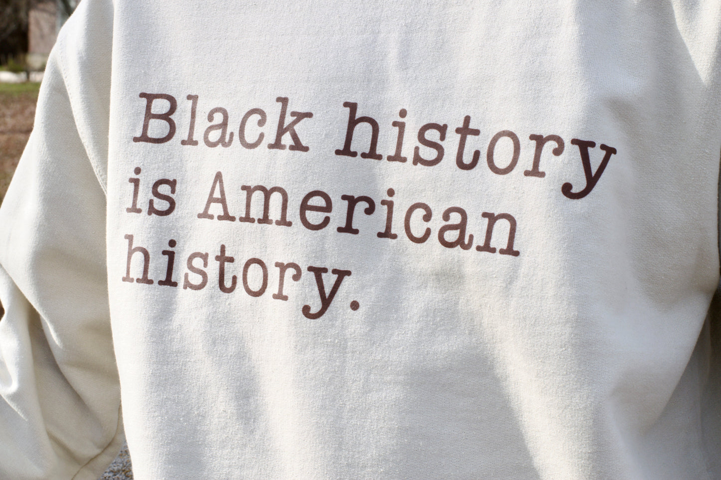 Black History is American History Crew Neck